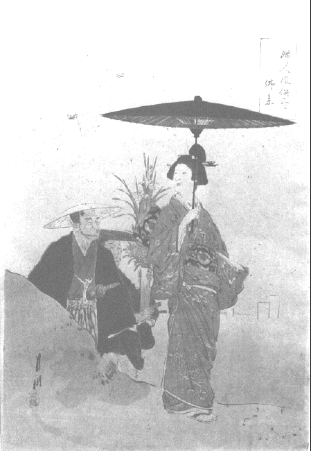 gekko1.gif (92732 bytes)